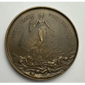 Bronze France Medal In memory of the fallen for France for humanity punch