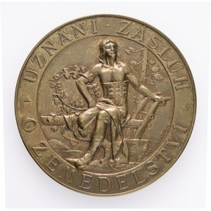 Bronze Autriche Hongrie François-Joseph I. Conseil agricole des pays tchèques original etue