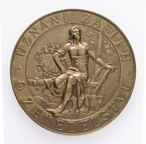 Bronze Autriche Hongrie François-Joseph I. Conseil agricole des pays tchèques original etue