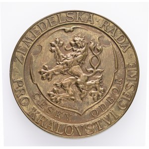 Bronze Autriche Hongrie François-Joseph I. Conseil agricole des pays tchèques original etue