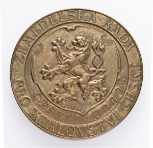 Bronzo Austria Ungheria Francesco Giuseppe I. Consiglio agricolo per le terre ceche originale etue