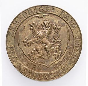 Bronze Austria Hungary Franz Joseph I. Agricultural Council for the Czech Lands original etue
