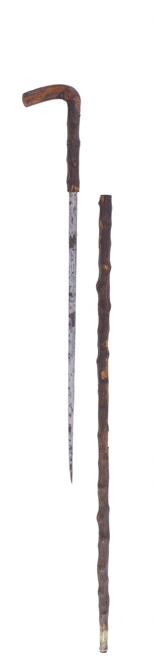 Bastone da passeggio - spada, XIX secolo.