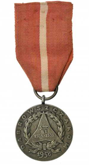Medaile Za vaši a naši svobodu (302)