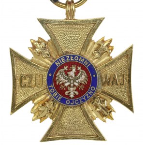 Croix d'or des invaincus (304)