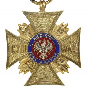Croce d'oro degli infranti (304)