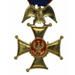 Virtuti Civili Cross (307)