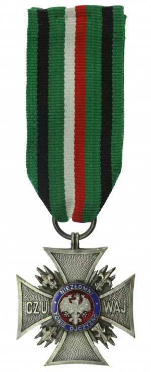 Croix d'argent de l'Unbroken (SPbWP) (311)