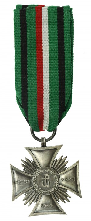 Silver Cross of the Unbroken (SPbWP) (311)