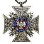 Croce d'argento degli infranti (SPbWP) (311)