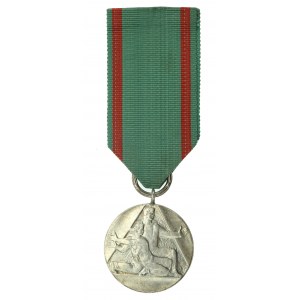 Medaila za obetavosť a odvahu (315)