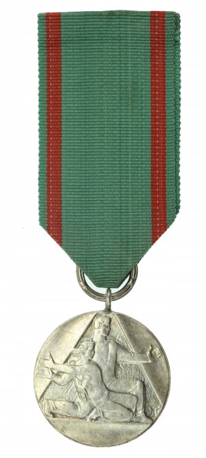 Medal Za Ofiarność i Odwagę (315)