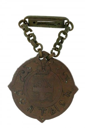 Insignia of the reeve of the Warsaw governorate model 1904 (514)