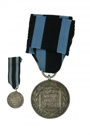 Srebrny Medal Zasłużony na Polu Chwały, wyk. Caritas (611)