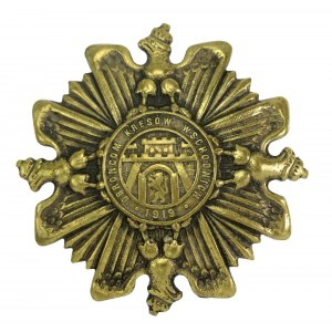 II RP, insigne des aiglons, défenseurs des frontières orientales 1919 (616)