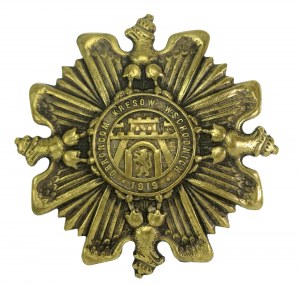 II RP, insigne des aiglons, défenseurs des frontières orientales 1919 (616)