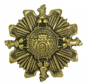 II RP, Odznak Orlice, Obránci východního pohraničí 1919 (616)