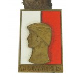 République populaire de Pologne, insigne de soldat exemplaire, accompagné d'un certificat 1963 (562)