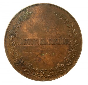 Medal prof. Włodzimierz Spasowicz 1891 (402)