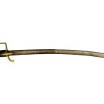 Light cavalry officer's saber, France, consulate, First Empire (206)