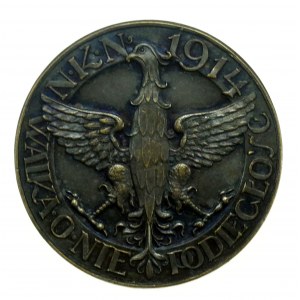Distintivo NKN Lotta per l'indipendenza 1914 (212)