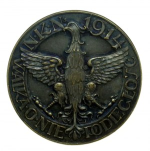 Odznak NKN Boj za nezávislost 1914 (212)