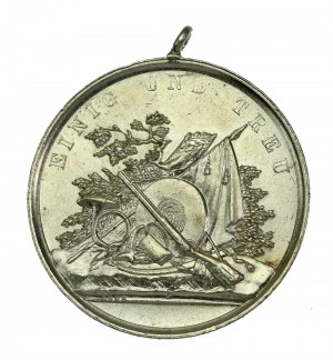 Médaille de tirailleur Grabów nad Prosną, 1896 (563)