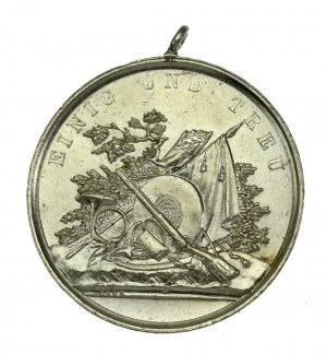 Medaglia del fuciliere Grabów nad Prosną, 1896 (563)