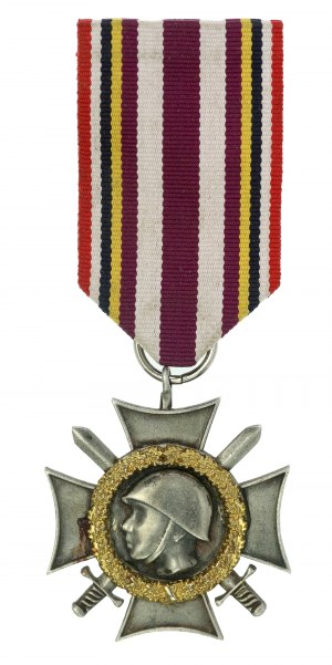 Veteran's Commemorative Cross to the Victors 1945 (574)