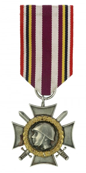 Croix du souvenir des anciens combattants aux vainqueurs 1945 (574)