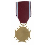 Terza Repubblica, Croce d'argento e di bronzo al merito con carte d'identità 2010 e 2015. (581)