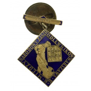 II RP, odznak Medzinárodného zjazdu zlievačov, Varšava 1938 (677)