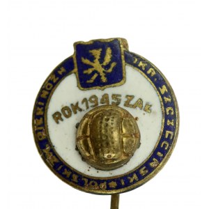 PRL, Abzeichen des Polnischen Fußballverbands Bezirk Szczecin (383)