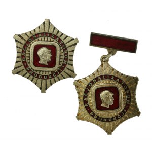 PRL, zestaw odznak „Racjonalizatorom Produkcji” (955)