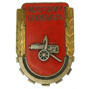 Polská lidová republika, odznak Model Cecemist, model 1951. velký (974)