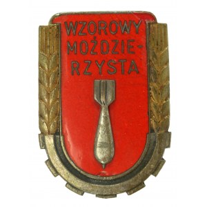 République populaire de Pologne, modèle d'insigne de mortier wz. 1951. grand (982)