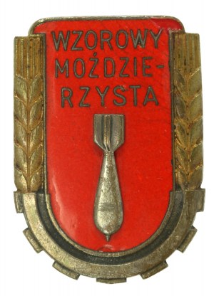 République populaire de Pologne, modèle d'insigne de mortier wz. 1951. grand (982)