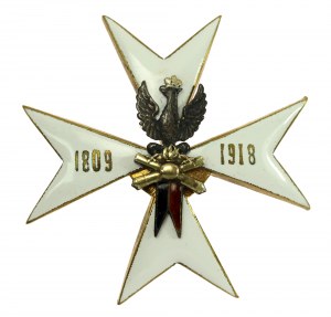 II RP, insigne de l'escadron d'artillerie à cheval (989)