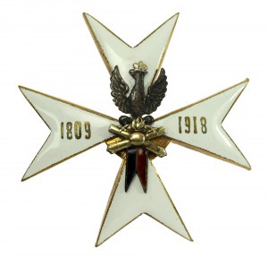 II RP, odznak jazdeckej delostreleckej eskadry (989)