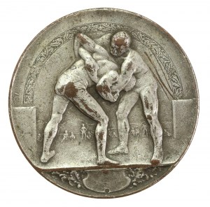 Medal sportowy 1933 r. (254)