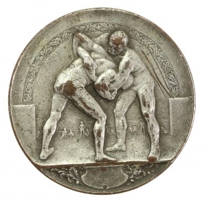 Športová medaila 1933 (254)