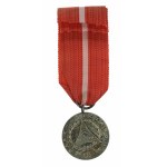 PRL, Medal Za Waszą Wolność i Naszą (454)