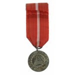 République populaire de Pologne, Médaille pour votre liberté et la nôtre (454)