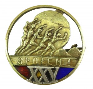 II RP, Abzeichen, GOLD, 25 Jahre Społem (826)