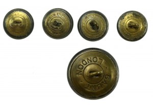 PSZnZ, Set di bottoni in metallo Gaunt. Totale 5 pezzi. (785)