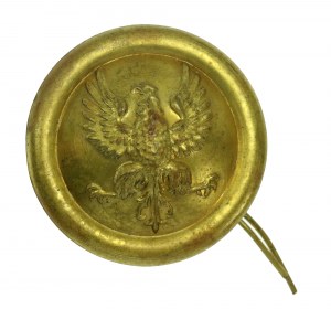 Bump mit dem Adler der polnischen Organisationen in Amerika (854)