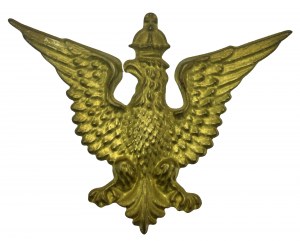 Aquila delle organizzazioni polacche in America (861)