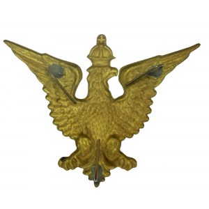 Adler der polnischen Organisationen in Amerika (861)