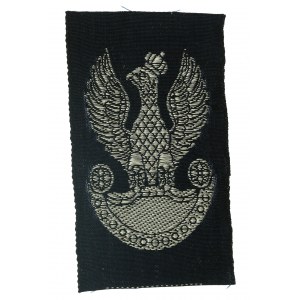PSZnZ Embroidered Eagle (864)