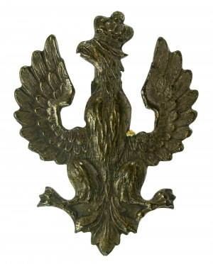 Patriotic eagle (865)